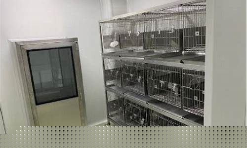 吴江动物房洁净车间装修公司(动物房管理系统)