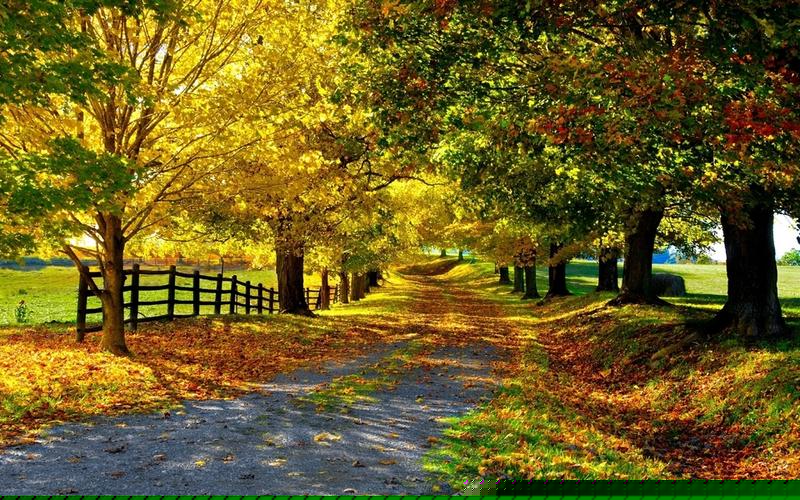 吴江电子净化厂房设计装修